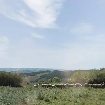 公寓 O Moinho 98 - A Cozy Getaway By The Coast