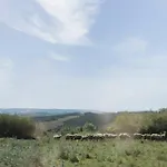 公寓 O Moinho 98 - A Cozy Getaway By The Coast